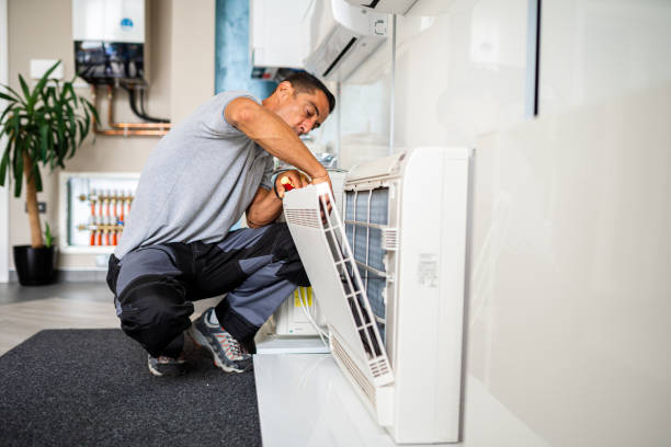 Best Ductwork Cleaning Services  in Hamton, IL
